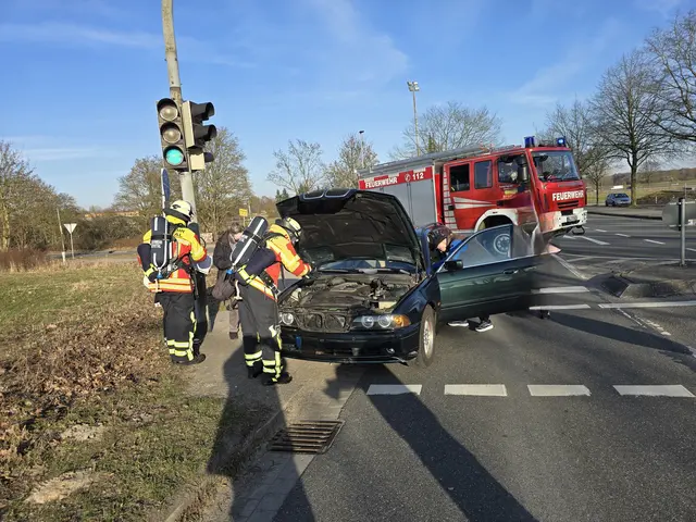Einsatz der FF Seevetal | Foto: Pressestelle Feuerwehr Seevetal