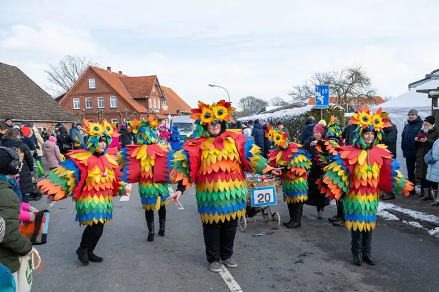 Die Fußgruppe "Eiskalte Engel" schlüpfte in buntes "Faslams-Gefieder" | Foto: Antje Lohse