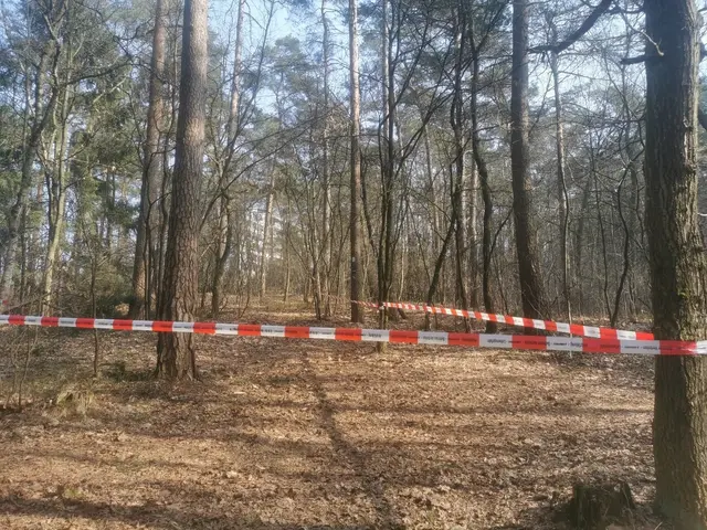 Teile des Buchholzer Stadtwaldes sind noch abgesperrt | Foto: Stadt Buchholz