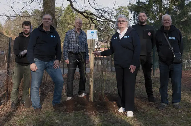 Jarmo Drewes (v. li., Baumschule Flügge), Michael Finnern (Weisser Ring), Christian Weiss (TSV Buchholz 08), Vera Theelen (Weisser Ring), Matties Kaisik (TSV Buchholz 08), Jürgen Heikamp (Weisser Ring) | Foto: Michael Kropp