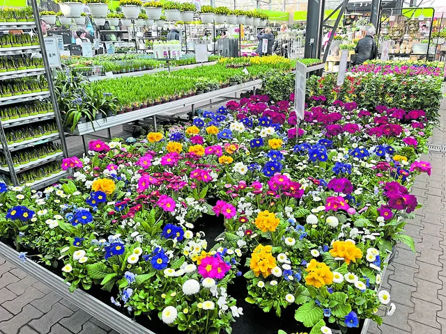 Das Herz des Gartenfreunds lacht: Jede Menge Frühjahrsblüher in allen Farben | Foto: Axel-Holger Haase