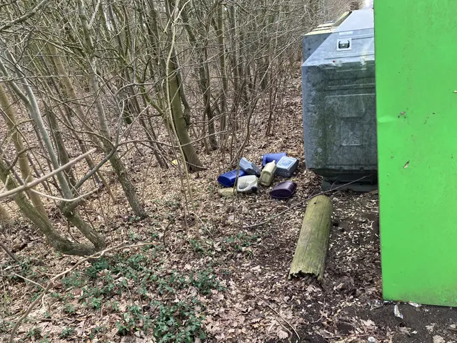 In Sauensiek wurden sieben Kanister mit Altöl illegal entsorgt | Foto: Polizeiinspektion Stade