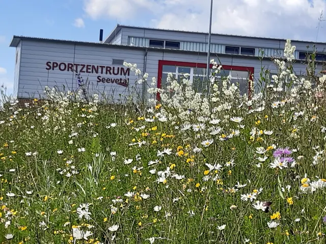  Im Sportzentrum Seevetal gibt es ab April neue Sportangebote

  | Foto: TuS Fleestedt