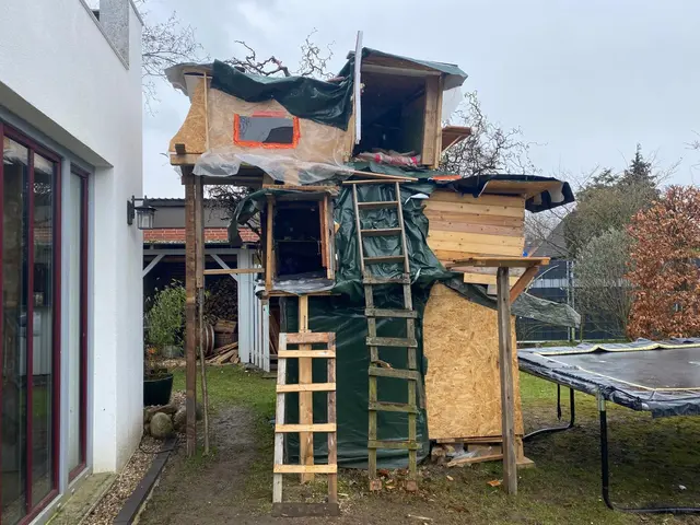 Das Baumhaus von außen | Foto: Nick Blumenstein