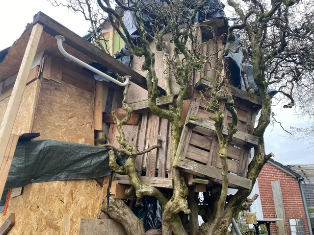 Es wurde stetig angebaut | Foto: Nick Blumenstein