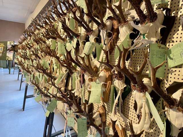 Eine Impression aus der beeindruckenden Hegeschau 2025/26 | Foto: Silke König