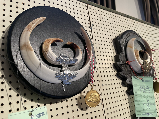 Unter den Trophäen waren auch in diesem Jahr wieder einige Goldmedaillengewinner  | Foto: Silke König