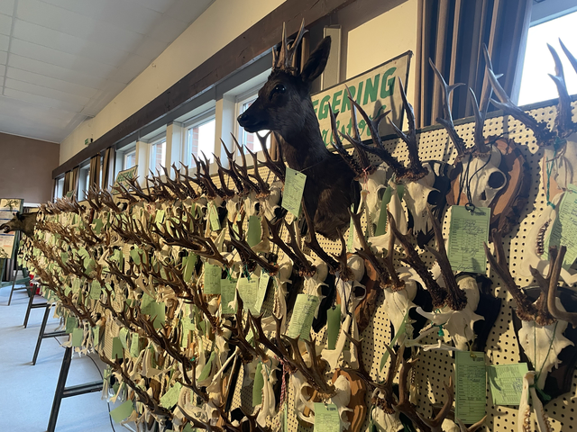 Trophäen des Hegerings Garstorf | Foto: Silke König