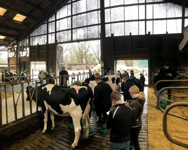 Azubis bei der Einstufung | Foto: BBS3