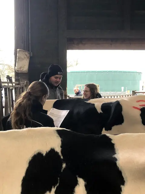 Einzelmerkmale werden gewürdigt | Foto: BBS3