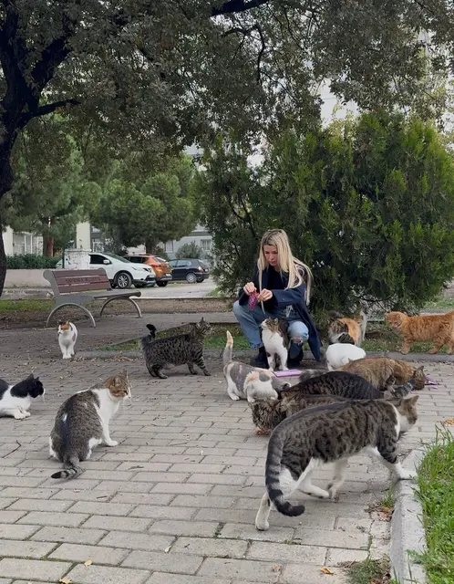 Wenn Hande de Palma die Straßenkatzen füttert, prüft sie stets den Gesundheitszustand der Tiere | Foto: de Palma