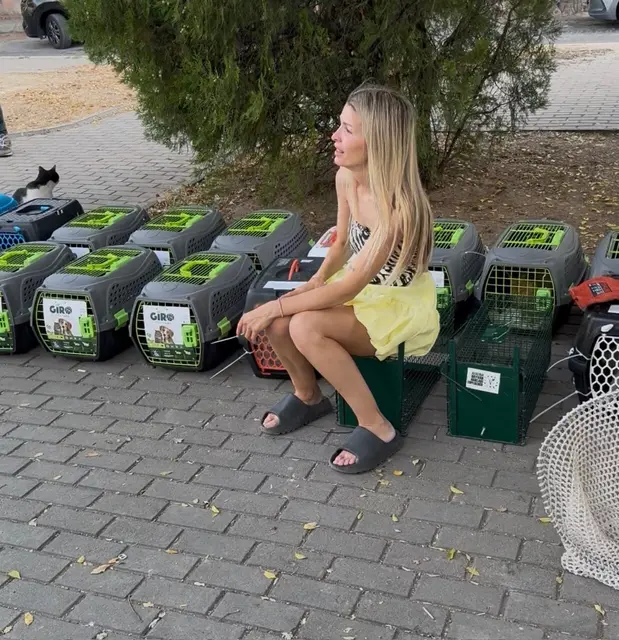 Eingefangene Katzen werden zur Behandlung und Kastration in eine Tierklinik gebracht | Foto: de Palma