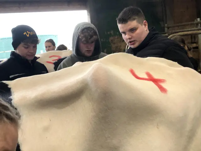 intensive Diskussion am Tier | Foto: BBS3