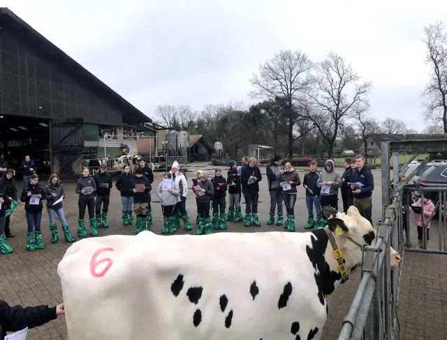 Vorbeurteilung | Foto: BBS3
