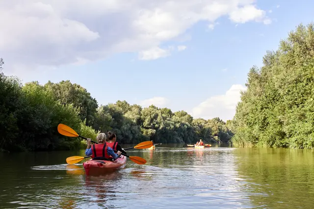 Kanus können in Großenwörden noch starten (Symbolbild) | Foto: AdobeStock/watcherfox