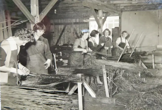 Das Schneiden der Reiser genannten Stecklinge gehörte einst zur Bearbeitung von Korbweiden auf dem Weidenhof | Foto: Archiv Samtgemeinde Salzhausen
