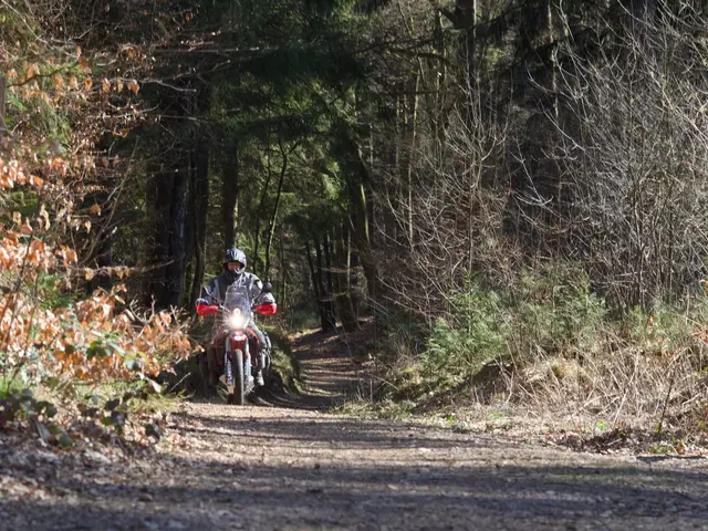 Probefahrt vor der großen Reise | Foto: Bastian Klein