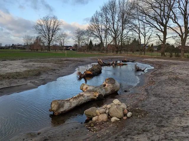 Der früherer Maisacker wird zu einem vielfältigen Lebensraum | Foto: Landkreis Harburg