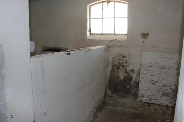 Im Stall gibt sogar noch zwei alte Viehkojen | Foto: sb