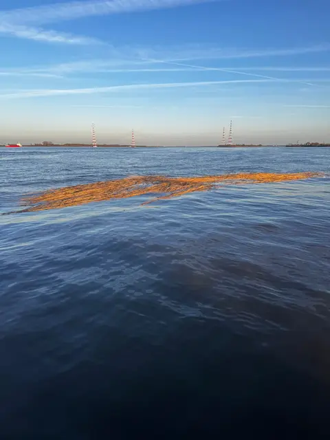 Treibgut im Wasser | Foto: Feuerwehr