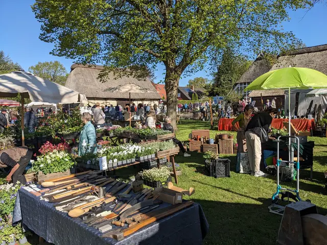 Der Pflanzenmarkt in Beckdorf bietet Besuchern Inspiration und Nützliches rund um den Garten | Foto: Kranzbinder Beckdorf