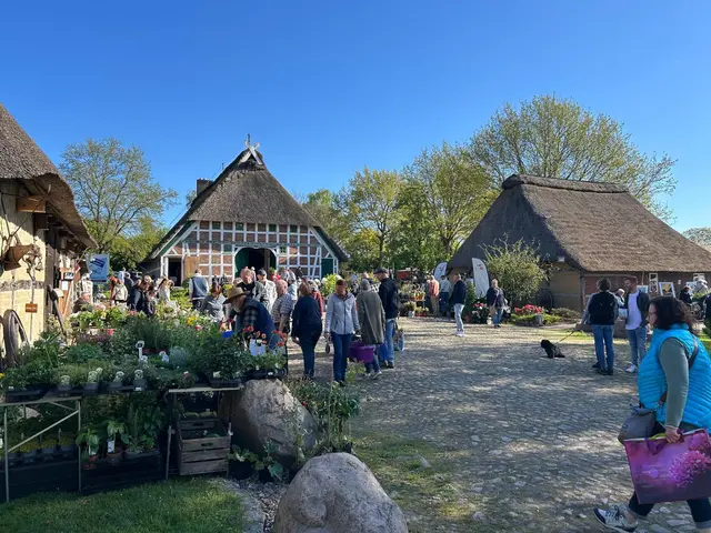 Der Beekhoff bildet die malerische Kulisse für den Stauden- und Pflanzenmarkt | Foto: Kranzbinder Beckdorf