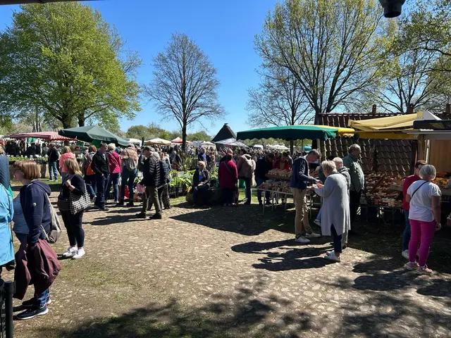 Der Pflanzen- und Staudenmarkt auf dem Beekhoff ist ein Publikumsmagnet für alle Gartenfreunde | Foto: Kranzbinder Beckdorf