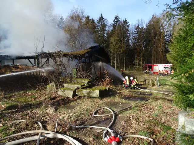 Löschmaßnahmen beim Schuppenbrand in Wesel OT Meningen
 | Foto: Freiwillige Feuerwehr Samtgemeinde Hanstedt