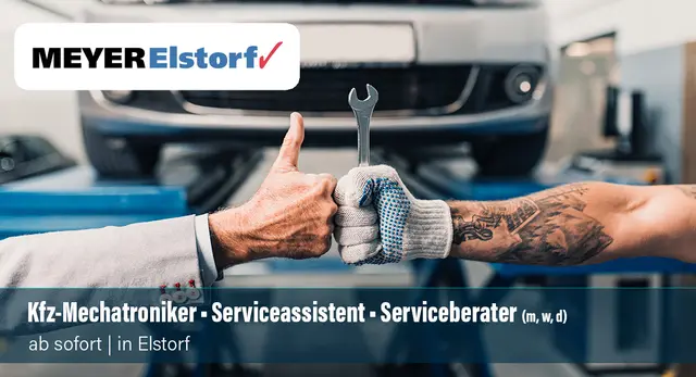 Foto: hedgehog94@AdobeStock.com