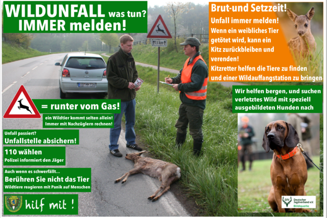 Foto: Bernard Wegner, DJV