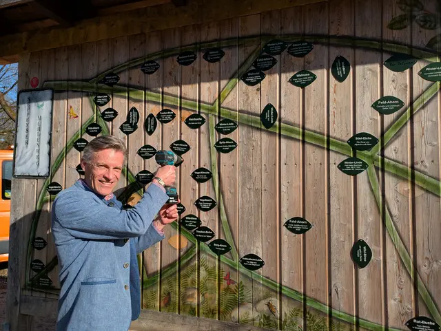 Bürgermeister Jan-Hendrik Röhse befestigt die letzten Plaketten der Baumpatinnen und Baumpaten | Foto: Stadt Buchholz