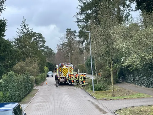 Nach kräftigen Sturmböen rückten mehrere Feuerwehren in Seevetal aus, um umgestürzte Bäume zu beseitigen | Foto: FF Maschen