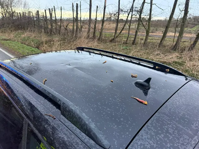 Zwei Fahrzeuge wurden beschädigt | Foto: Polizeiinspektion Stade