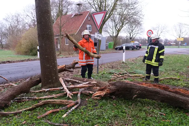 Feuerwehrmänner in Breitenwisch räumen Reste eines umgestürzten Baumes beiseite.



 | Foto: Rolf Hillyer-Funke/Feuerwehren SG Oldendorf-Himmelpforten
