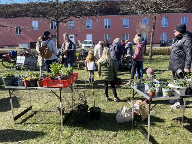 Die Pflanzentauschbörse findet in Buxtehude im Gemeinschaftsgarten statt | Foto: sapo