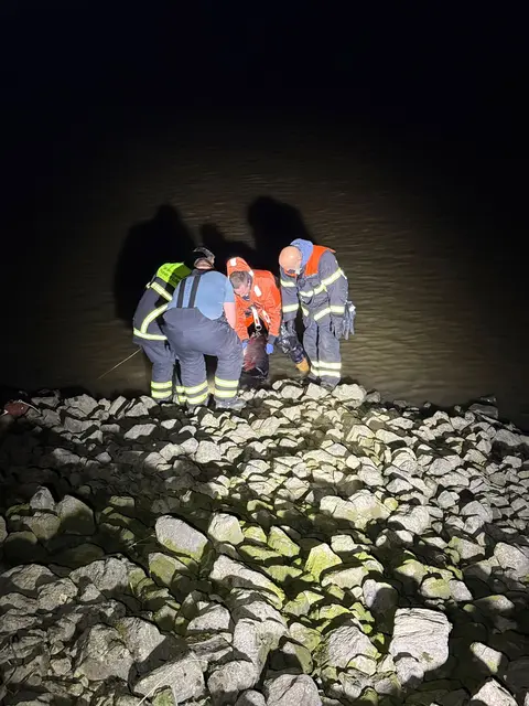 Die Feuerwehr holt den Kadaver aus dem Wasser | Foto: J. Gruhn