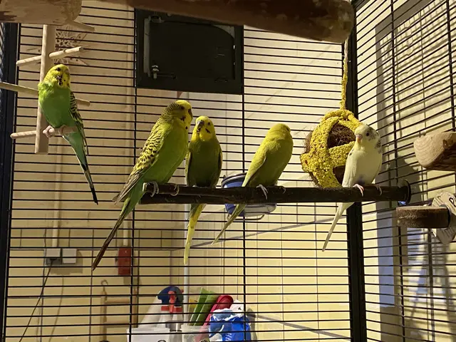 Foto: Tierheim Buchholz