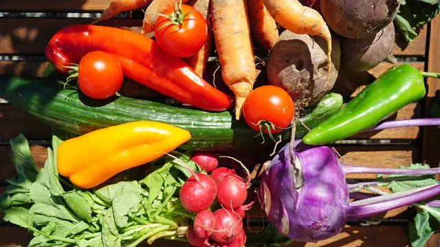 Bio-Gemüse liegt bei den Verbrauchern im Trend | Foto: Prodente