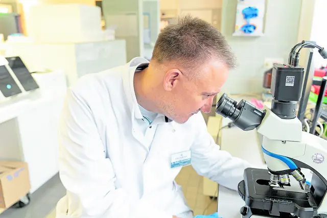 Institutsleiter und Chefarzt Dr. Steffen Friedewald untersucht eine Probe unter dem am Mikroskop | Foto: Elbe Kliniken / Kati Meyer-Thiedig