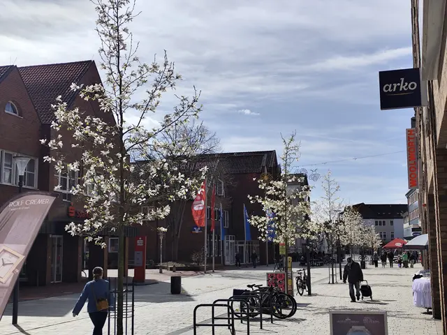 Magnolienbäume in voller Blüte. | Foto: Rüdger Störtebecker