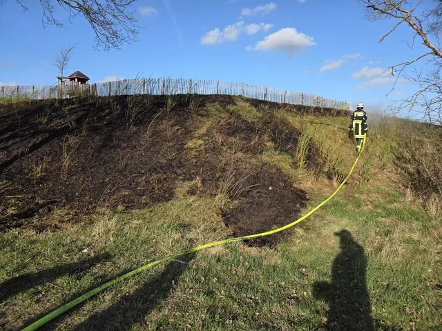 Feuerwehrleute der Feuerwehr Hammah löschen Flächenbrand am Spielplatz am Osterbruch in Hammah | Foto:  Feuerwehr Hammah