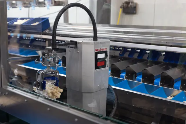 Am Ende der Arbeitsstraße sorgt der neuartige Roboter für das Verladen des erste Klasse Spargels in Kisten. | Foto: ks