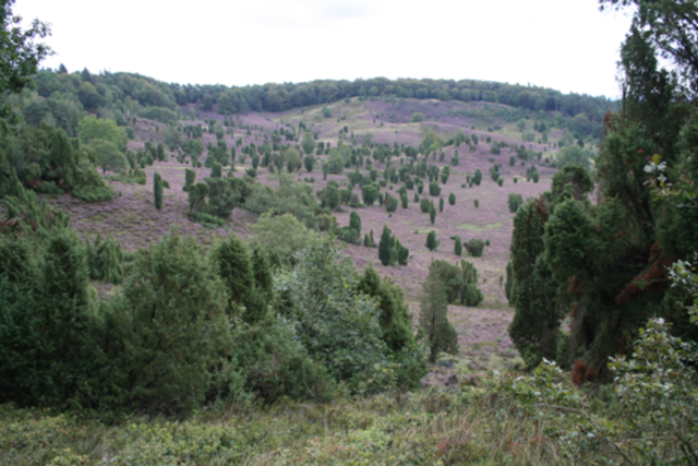 Totengrund | Foto: Martin Pries
