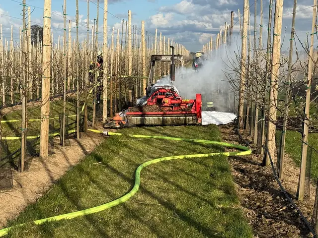 Die Einsatzstelle in Moorende | Foto: Feuerwehr Gemeinde Jork