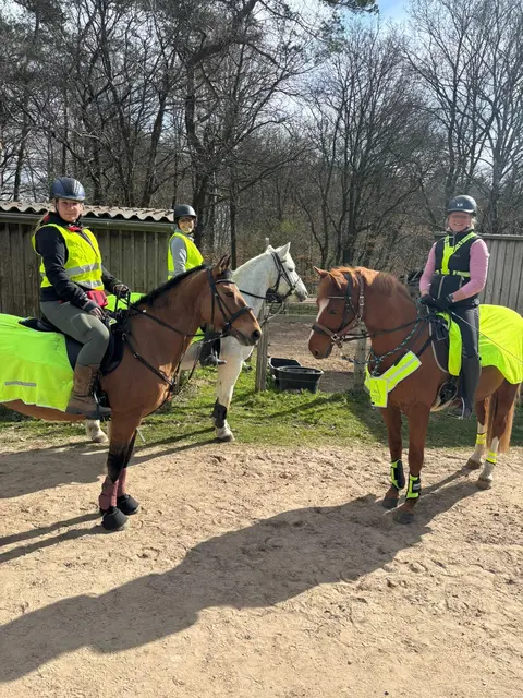 Foto: VFD / Schanzenhof