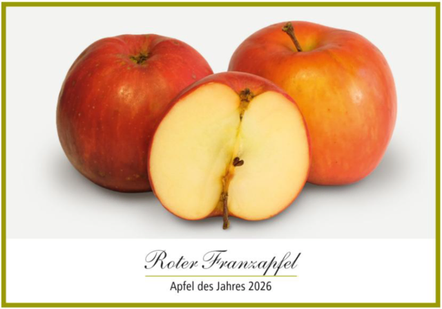 Roter Franzapfel | Foto: Darstellung Norddeutsche Apfeltage