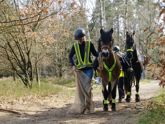 Foto: VFD / Schanzenhof