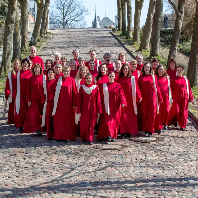 Die Chorteilnehmer des Lüneburger Gospelchors  | Foto: Gospelchor Lüneburg