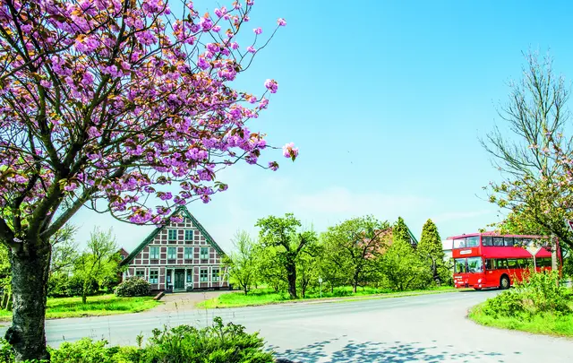 Das Alte Land entdecken | Foto: Thomas Gramlow