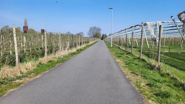 Eine Fahrradstraße in Tostedt - herrlich und sicher mit dem Fahrrad zu befahren | Foto: sh